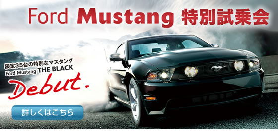 FordMustang���ʎ����